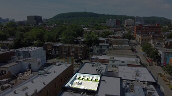 Mont Royal Suites