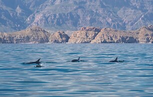 Villa del Palmar Islands of Loreto