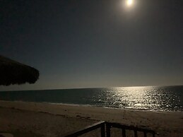 Pura Vida