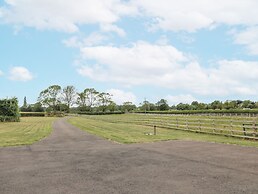 Fields View