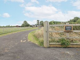 Fields View