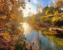 Kybele Nature Life