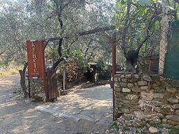 Kybele Nature Life