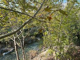Kybele Nature Life