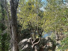 Kybele Nature Life