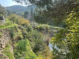 Kybele Nature Life