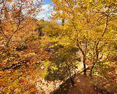 Kybele Nature Life