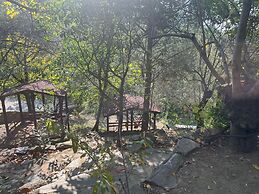 Kybele Nature Life