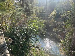 Kybele Nature Life