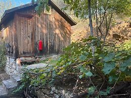 Kybele Nature Life