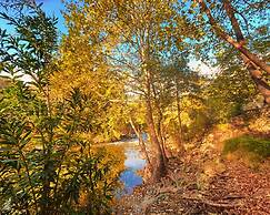 Kybele Nature Life