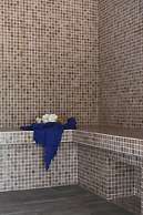 Hôtel Villa Glanum & Spa