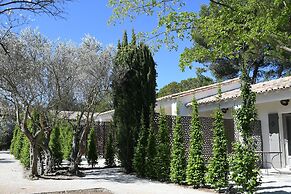 Hôtel Villa Glanum & Spa