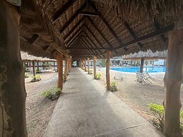 Hotel Plaza Palmas
