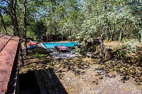 Liiiving in Caminha Oak Tree Chill House