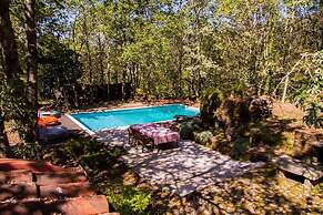 Liiiving in Caminha Oak Tree Chill House