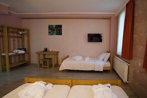 Hotel Mogzauri