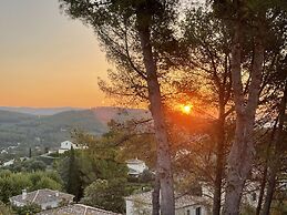 Vendange Tardive in Flayosc