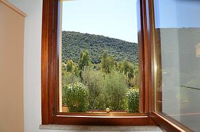 Casa Vacanze in Tanaunella