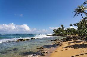 Villa Granada at Dorado Beach Resort Pool Nearby