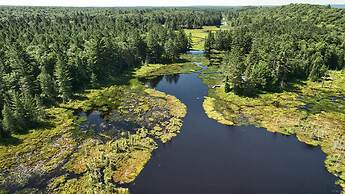 A Secluded Cabin on Your own Prvt Pond Serenity