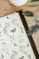 Rubus Blue Berry - by Linnaeus Collection