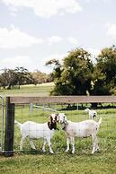 Moraea Farm Suite in Berry
