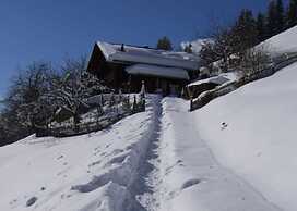 5 BR Gstaad Paradise View Chalet With Outdoor Jacuzzi