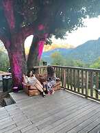 Heidi Chalet Alps - Unique Experience - Authentic Part