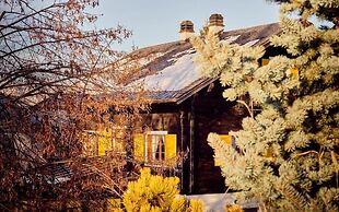 Chalet Bouton D Or in La Tzoumaz