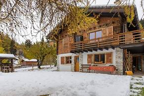 Beautiful Apartment Under Owners Chalet