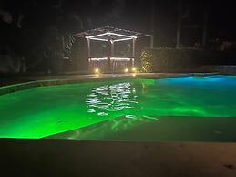 Breathless Backyard Amazing Pool