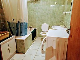 Alpine Chalet La Conchette