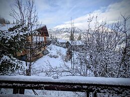 Alpine Chalet La Conchette