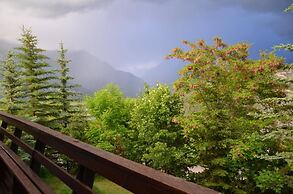 Alpine Chalet La Conchette