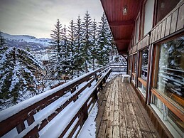 Alpine Chalet La Conchette