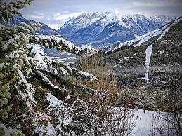 Alpine Chalet La Conchette