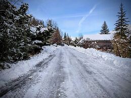 Alpine Chalet La Conchette