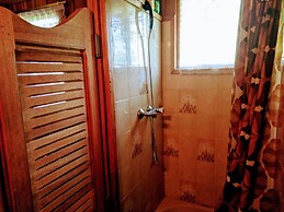 Alpine Chalet La Conchette