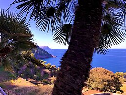 C an Co Banyalbufar Mallorca