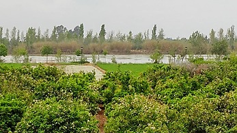 La Caseta del Pitxo in Deltebre