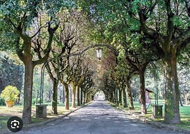Charming Apt a/c 1br/2p - Rome/camilluccia