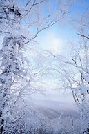 Snow house