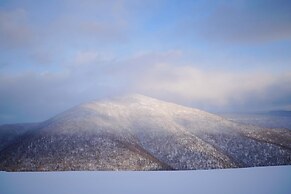 Snow house