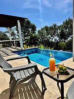 Roatan Infinity Pool & Ocean View