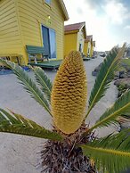 Udo Sunflower pension