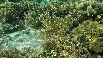 Eagle's Nest Beach Resort- Samal Island
