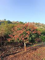 Aikant Agro Tourism Pondewadi