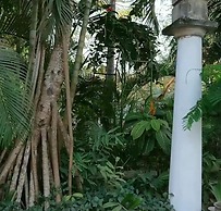 Kiota Jungle Homestay