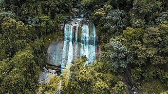 Silvery Bungalows en el Bosque